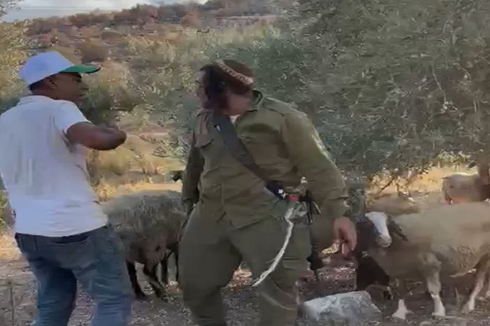 مستعمر يرتدي زي جيش الاحتلال خلال مهاجمته مزارعين في سهل رامين شرق طولكرم